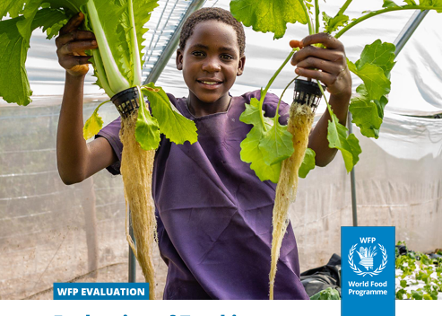 WFP Zambia Evaluation image