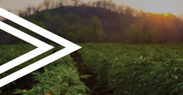 Our ethos image with chevron v2