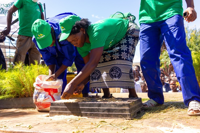 Shutterstock 2342826265