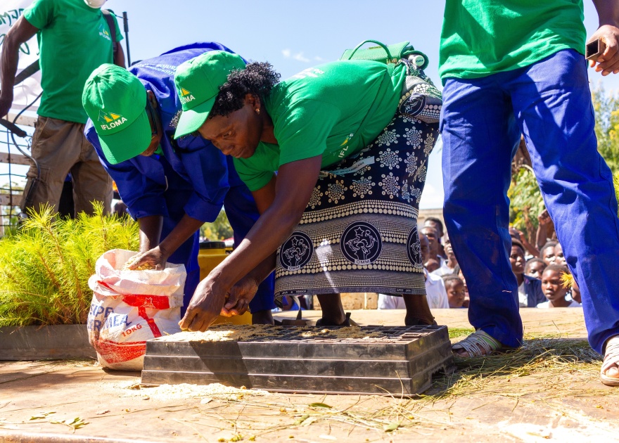 Shutterstock 2342826265