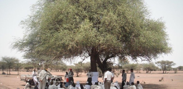 Sudan Food Security Tree